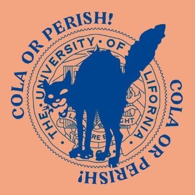 UCSC International Students Increasingly Vulnerable Amid Wildcat Strike