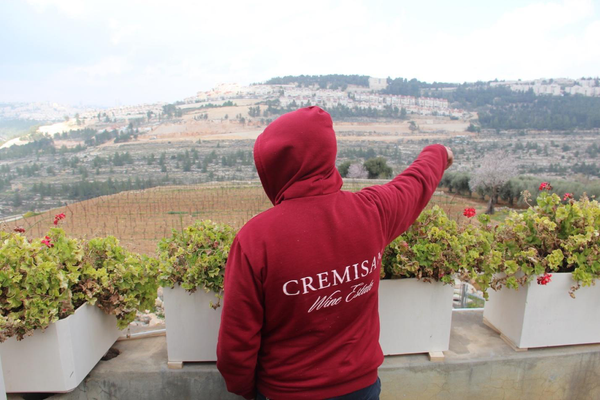Indigenous Wine and Settler Colonialism in Israel and Palestine