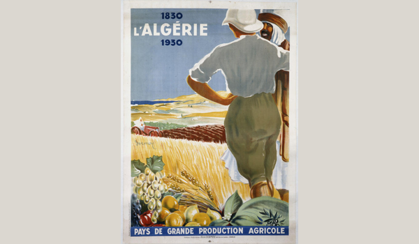 Settler Entanglements from Citrus Production to Historical Memory