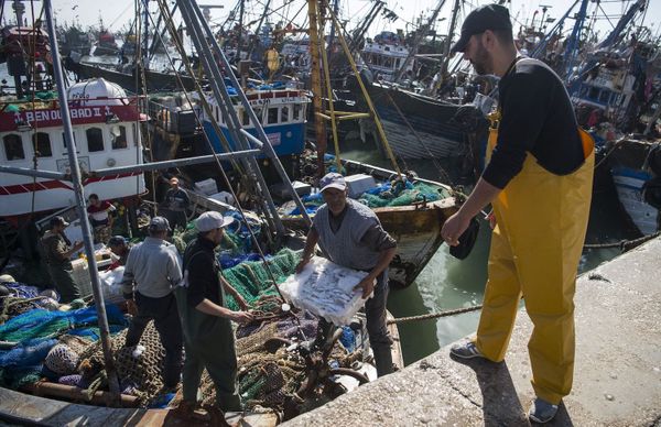 How the Fishing Industry Strengthened Morocco’s Occupation of Western Sahara
