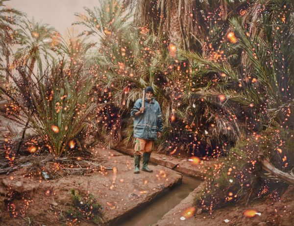 Desert Solar—A Spectacular Fiction, Not a Spectacular Future