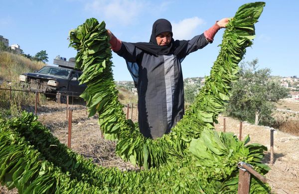 Dispatch from South Lebanon—Life as Resistance at the End of the World