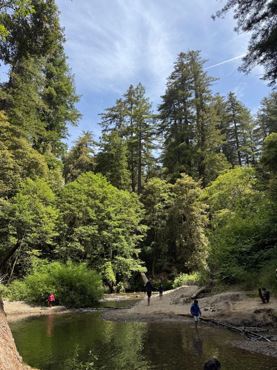 How We Became Creek Monsters at San Mateo Memorial Park (And Why You Should Too)