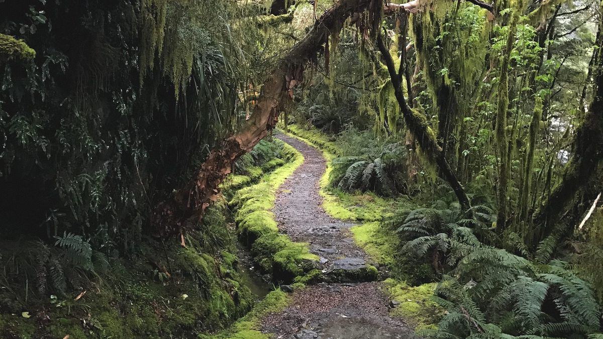 The Milford Track - 5 Day Hike in the South Island of New Zealand