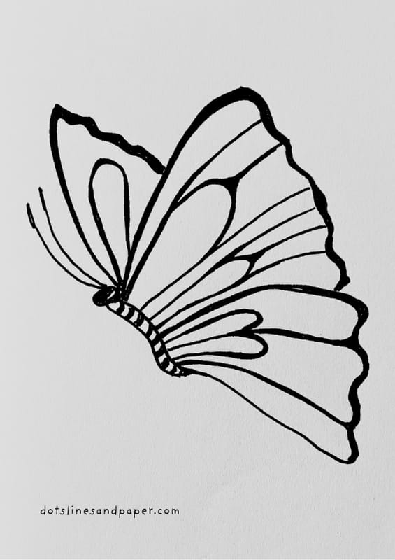 Easy and Cute Butterfly Drawing Ideas Using detailed lines on the wings