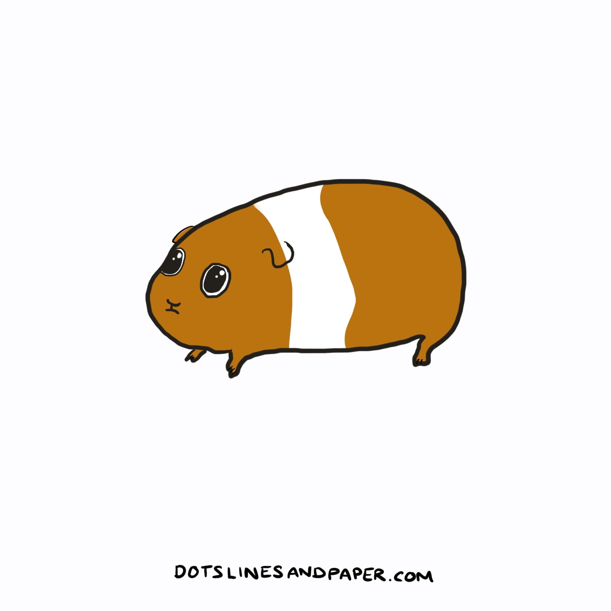 Doodle from the post Cute things to draw - of a cute little guinea pig