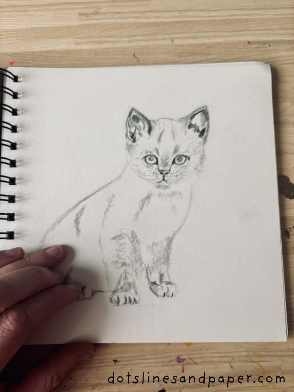 A realistic line drawing of a kitten with the artist's hand on the page