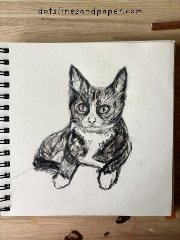A realistic pencil and charcoal drawing of a black and white kitten