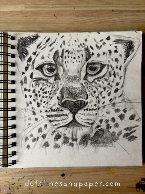 11 Realistic Drawing Ideas of Cats and Big Cats