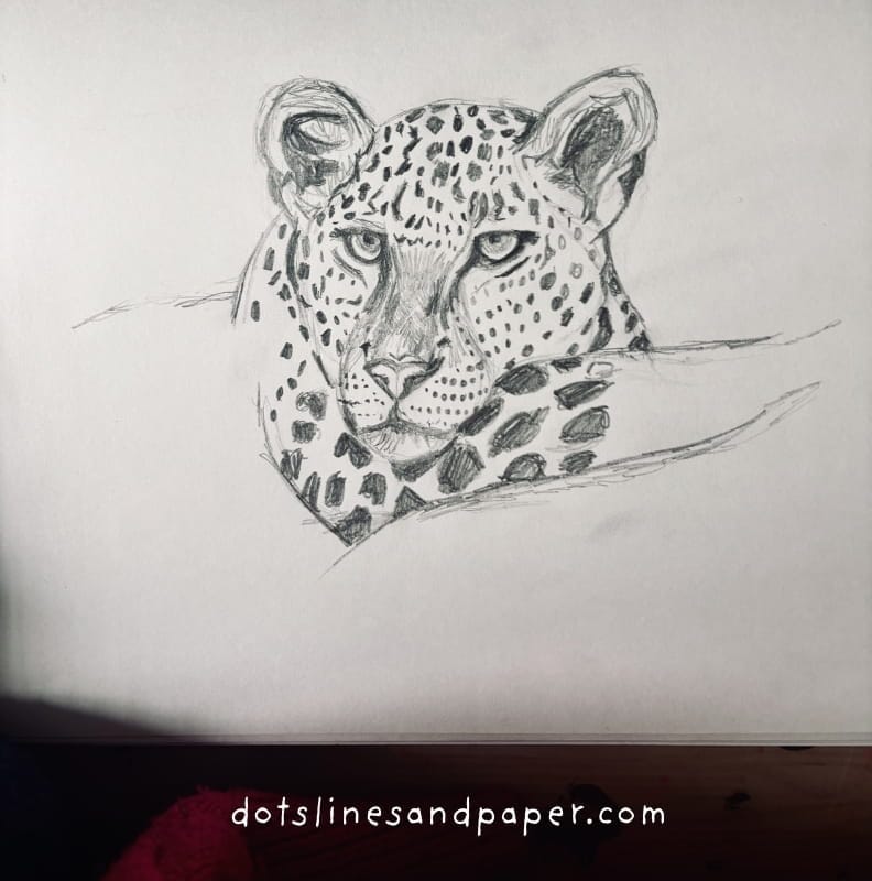 Realistic Drawing Idea of a leopard close up in pencil