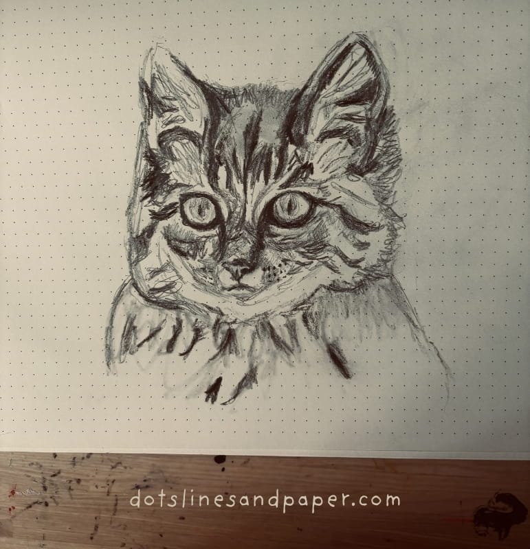 A realistic drawing of a tabby kitten in pencil and charcoal