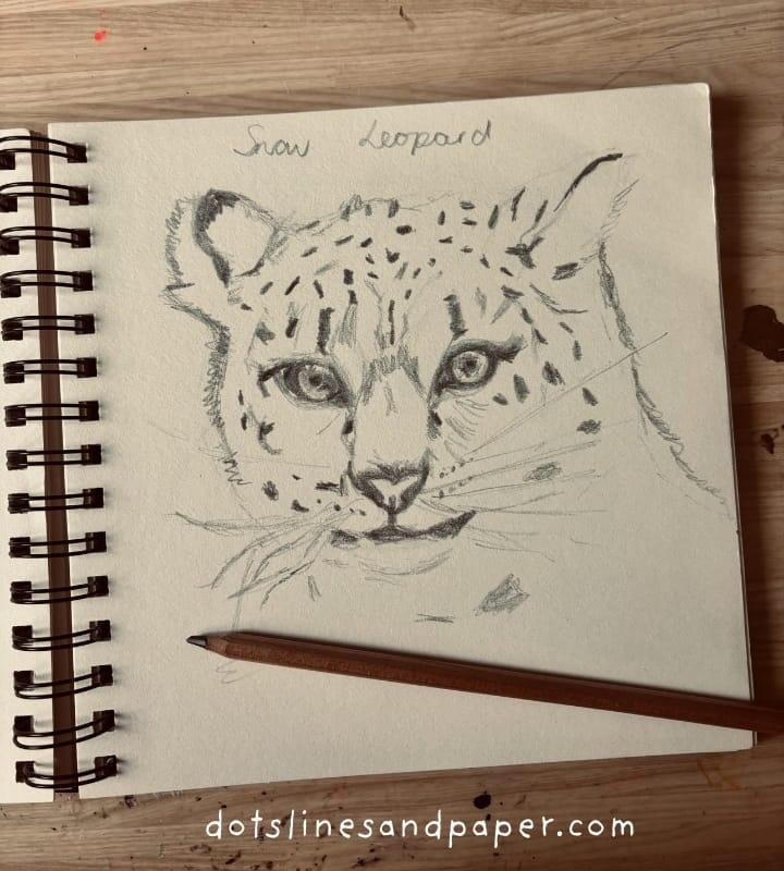 A realistic pencil sketch of a snow leopard