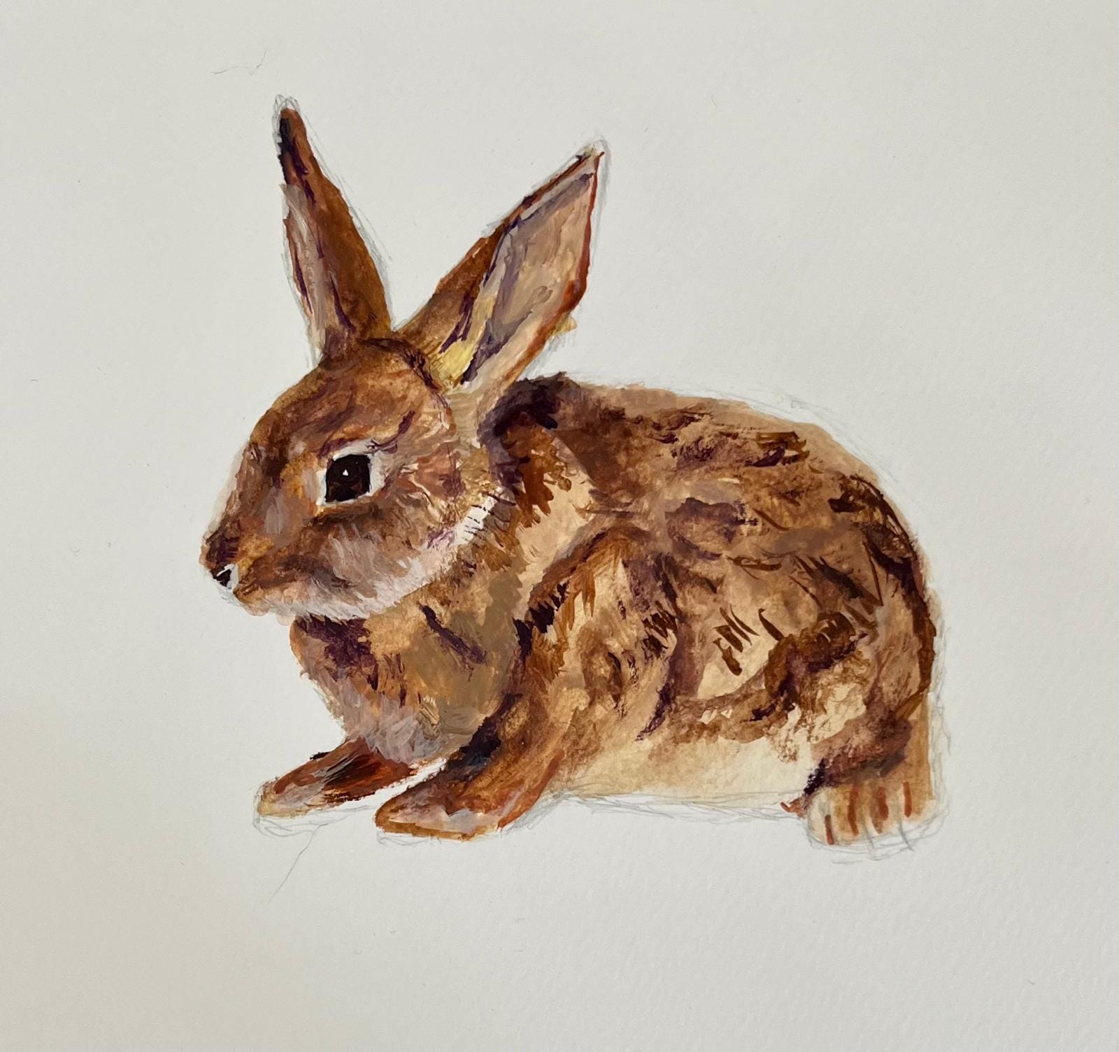 11 Realistic Drawing Ideas of Rabbits and Hares