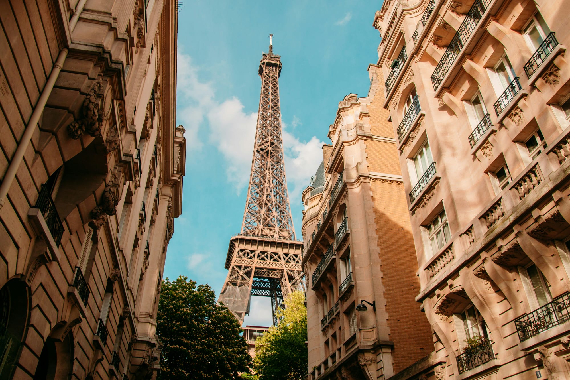 CTA Image