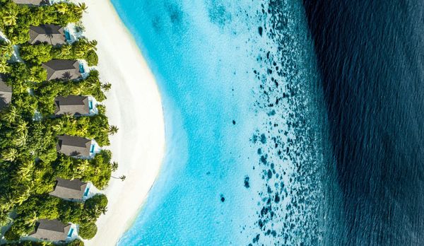 Maldives or Seychelles for your Honeymoon? How to choose the trip of a lifetime