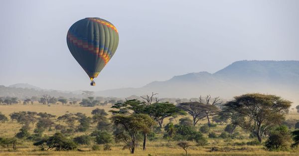 Safari Lodges in Kenya & Tanzania: How to Choose the Right Camp for Your African Safari