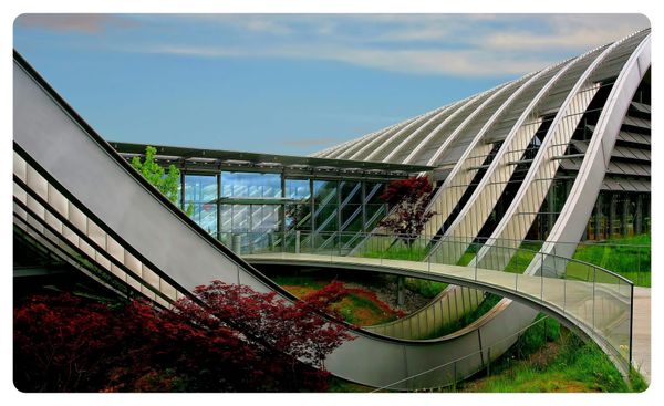 The Urban Sanctuary: How City Design Hotels Are Engineering Secret Garden and Rooftop Oases