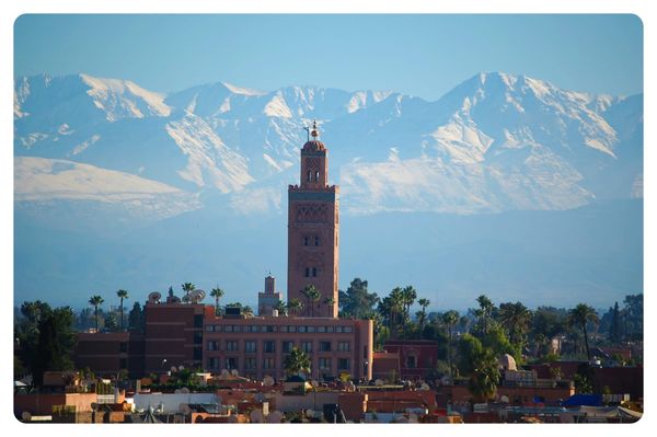 Marrakech Stays: Medina Riads vs. Luxury Hotels - Finding Your Ideal Oasis in the Red City