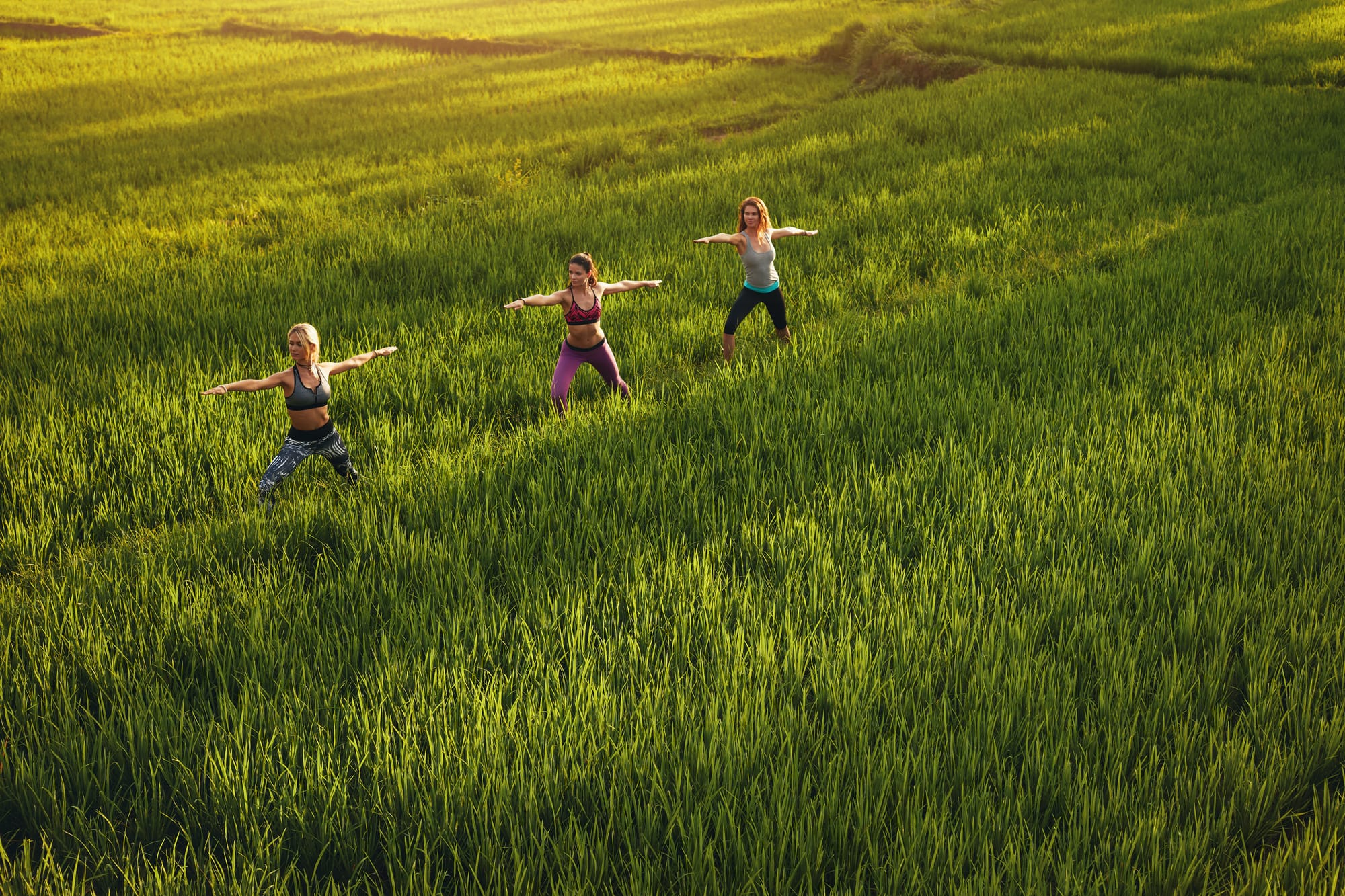 wholewellnesswave.com