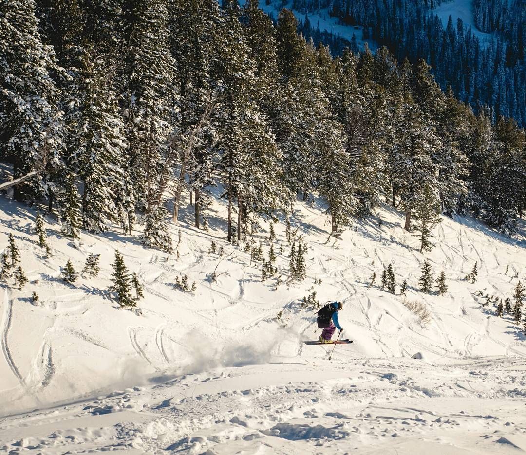 No new snow since our Christmas present, but @reidmccallum