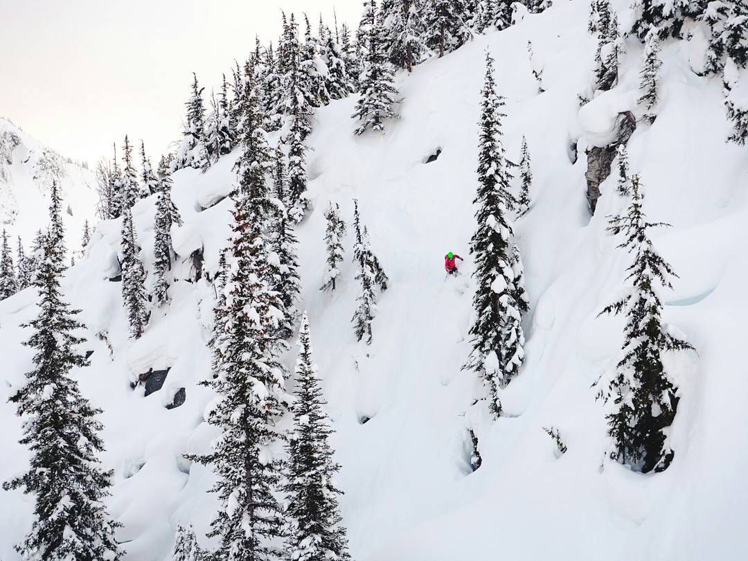Been spending a lot of time (not on skis) with this guy