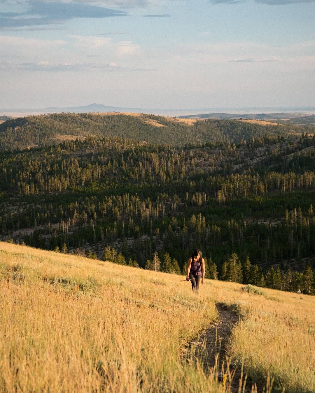 The Girl / The Aspens / The Iris / The Wyoming.