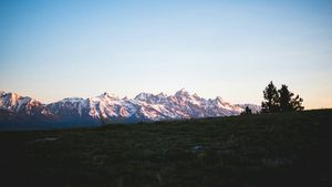 Waking up at Curtis