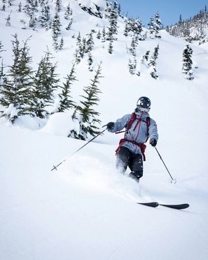 Today's forecast: More skinning
