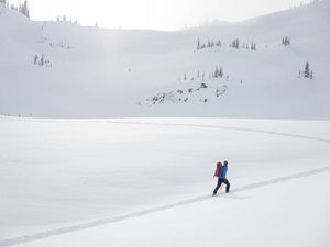 Skinning