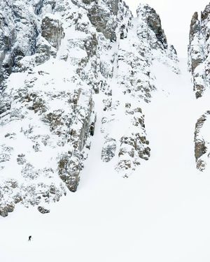 If your Monday made you feel small, well..