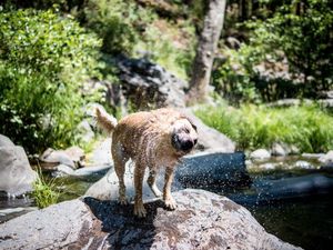 Summer is, like, really hot