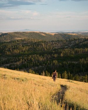 The Girl / The Aspens / The Iris / The Wyoming.