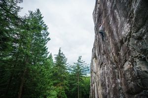 My fave single pitch wall in the Squams