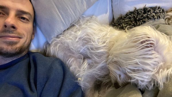 We're Affiliated, Now What?