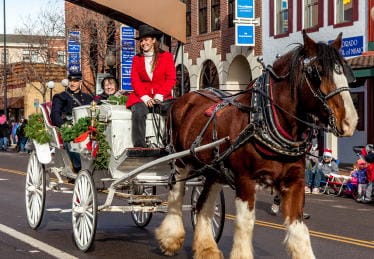 Blaha Family in Golden Christmas Parade