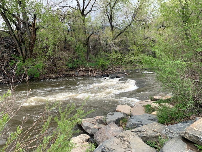 Clear Creek with high water in the spring. Bright green new leaves along the bank.