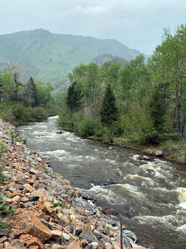 Clear Creek Canyon in the spring, with fast-running water and new leaves on the trees. Mountain backdrop.