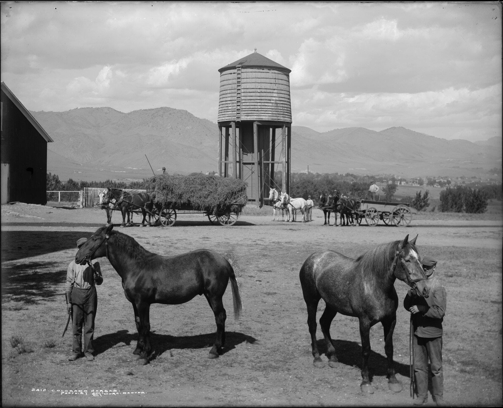 Two boys holding two horses.  Watertower, wagon with team of black horses, laden hay wagon with another team in back.