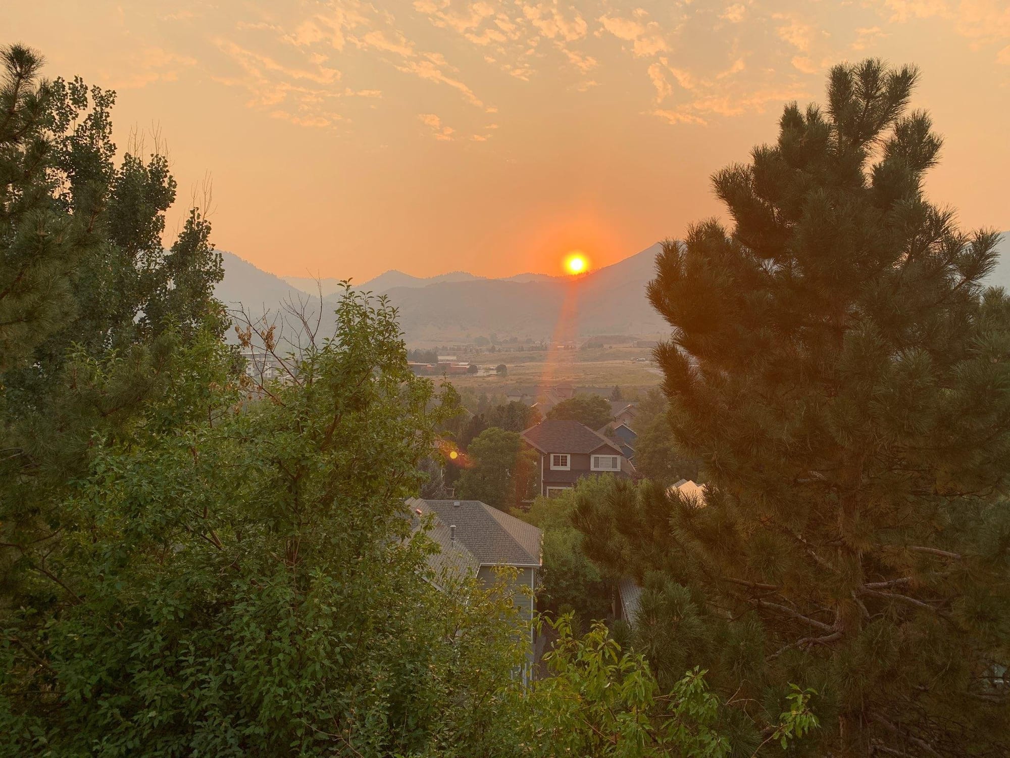 Pine trees framing a view of an orange sun in a darker orange sky, setting behind the foothills