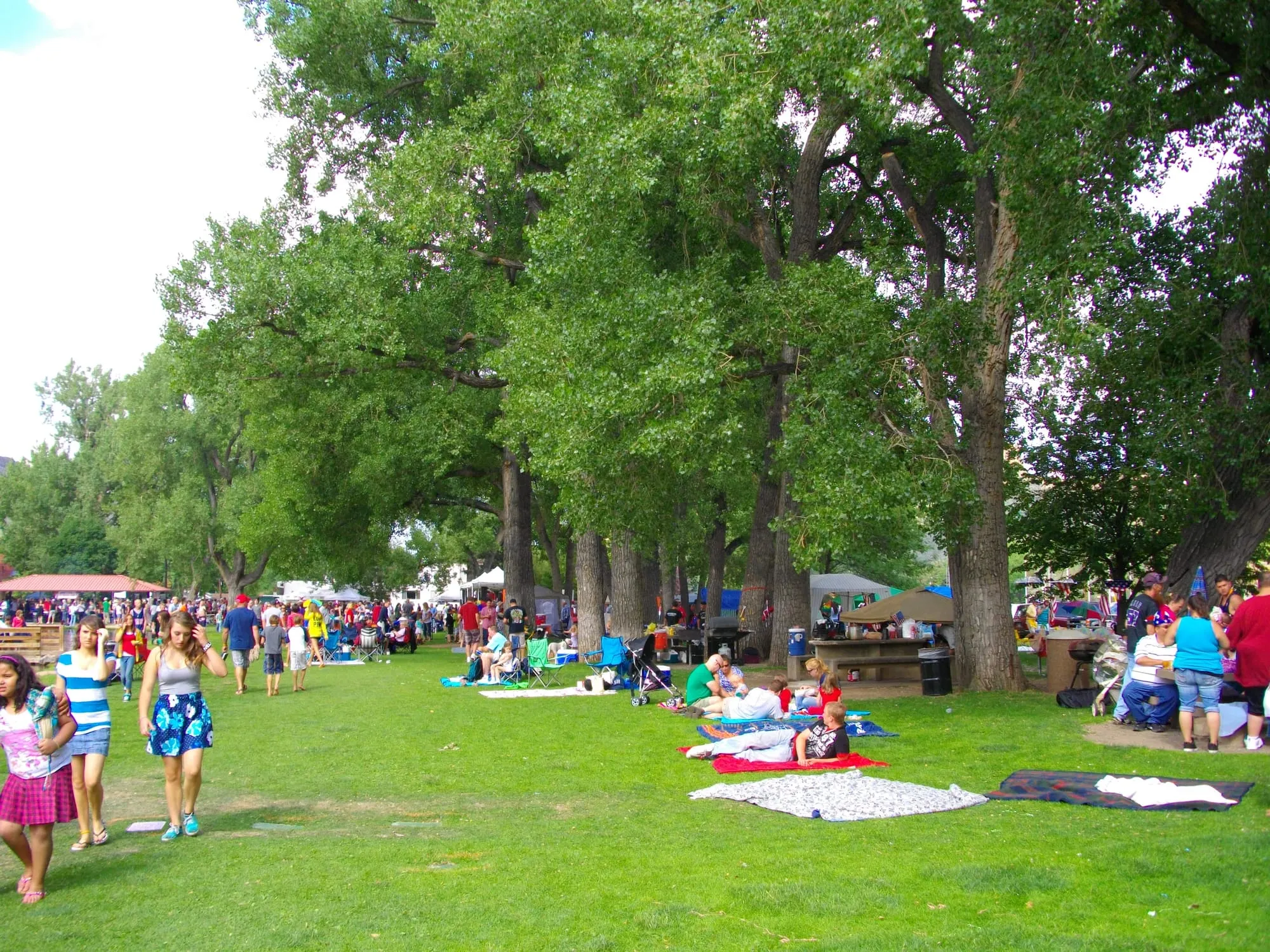 people laying on picnic blankets under the trees in Lions Park - many people walking around