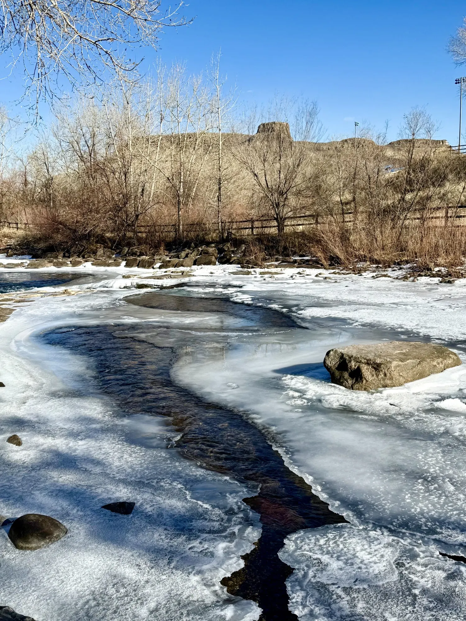Frozen in Golden