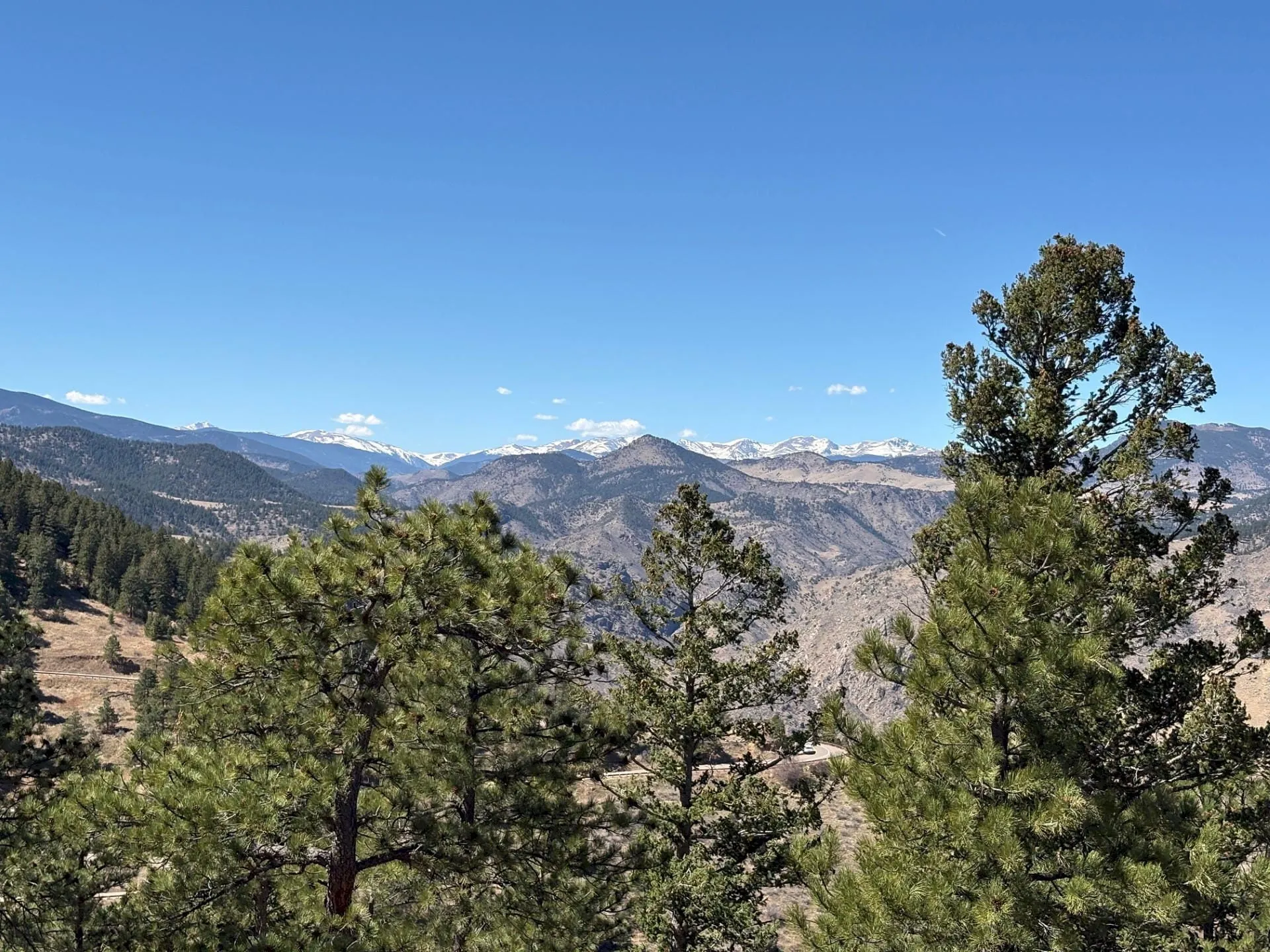 A Summer View in Late March