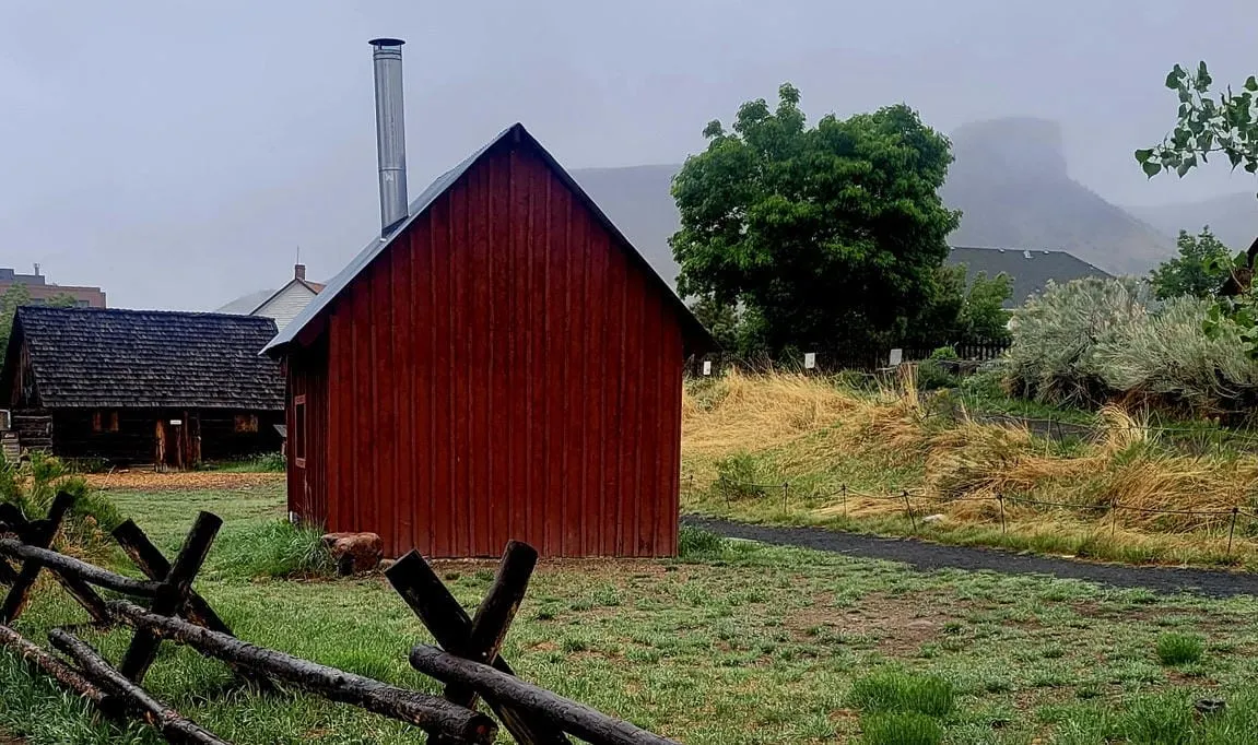A Misty Morning