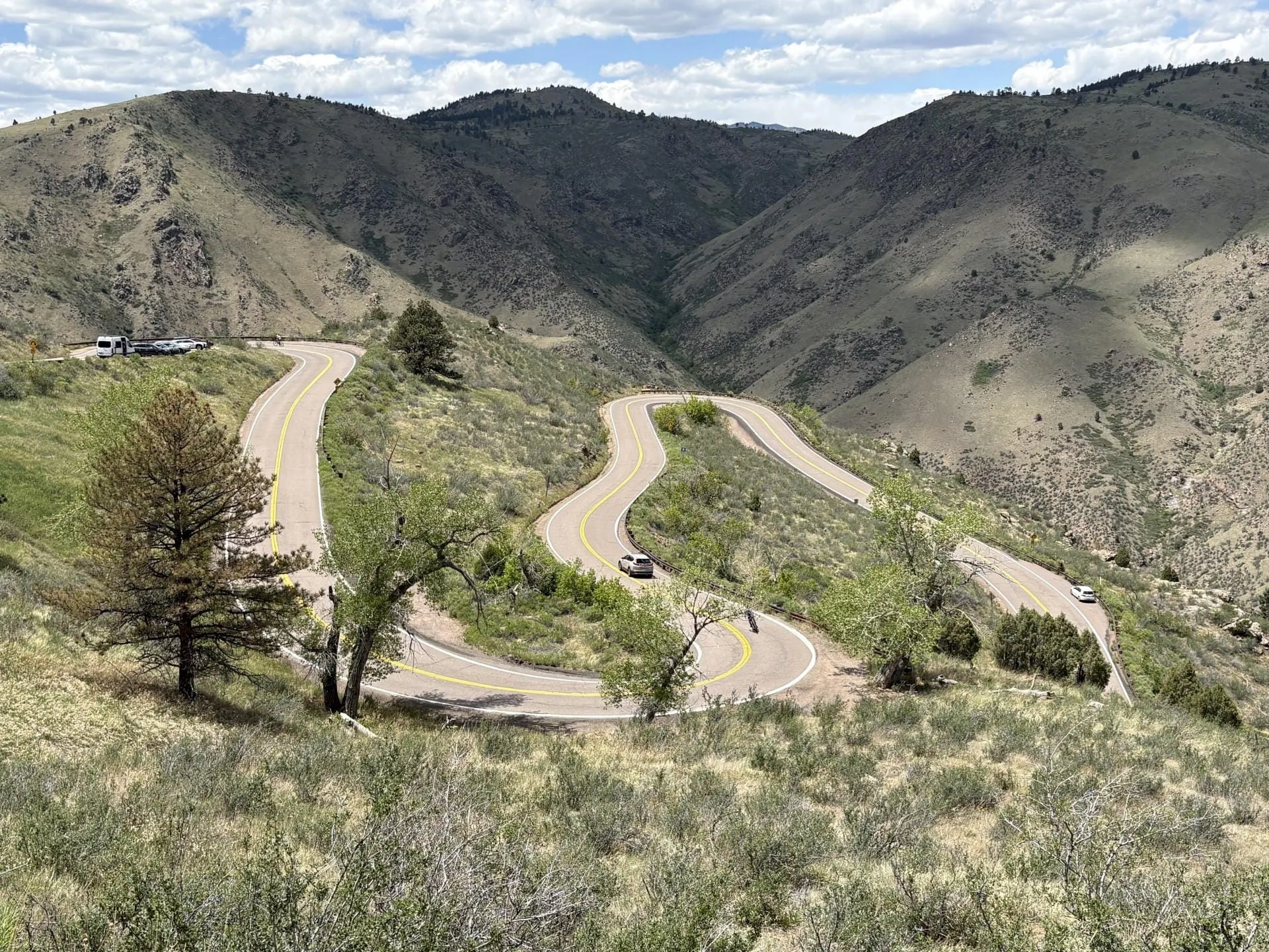 Greening Up Along the Loop