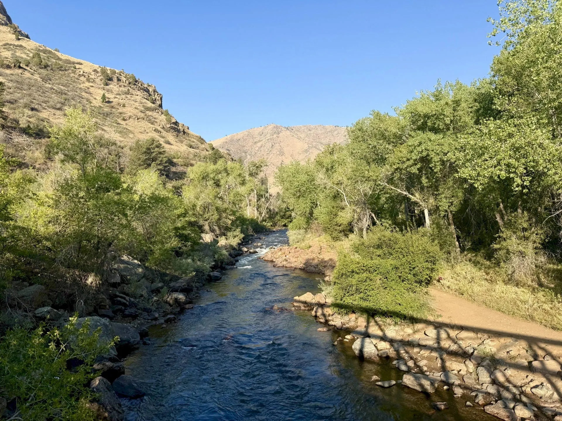 Morning on the Creek
