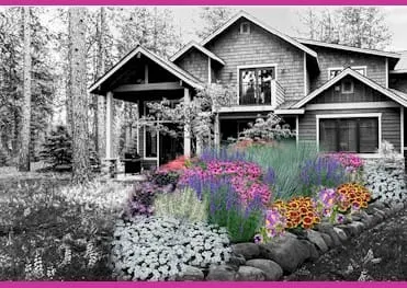 Lots o’ Nature Coming Up