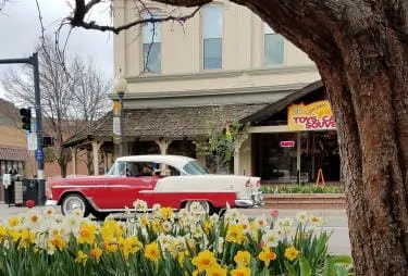 Spring Sunday in Golden