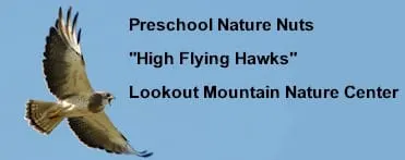 Handwork and Hawks