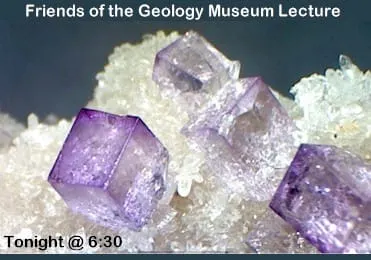 Minerals & Mental Health