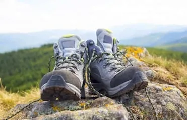 Music & Books, Hiking & Jobs